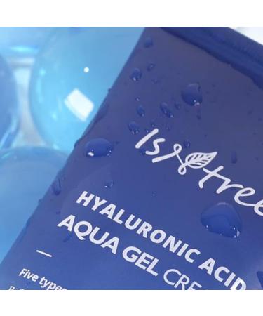 Isntree Hyaluronic Acid Aqua Gel Cream with Hyaluronic 100 ml - Buy Online on GoSupps.com