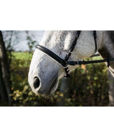 Caroline White Lined Bitless Bridle | Bitles Bridle Sidepull Full - International Shipping Available - Buy Online on GoSupps.com