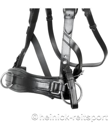 Heinick-Reitsport Professional Leather Cavesson with Bit Strap - ProLine Black for Warmblood/Thoroughbred | International Shipping Available - Buy Online on GoSupps.com