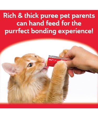 Chicken Squeeze Up Cat Treats Bundle. Includes (2) Packages of Delectables Chicken Squeeze Up Cat Treats (4 lickable Tubes/Pack) with BIG MAPLE Trivia Cards. - Buy Online on GoSupps.com
