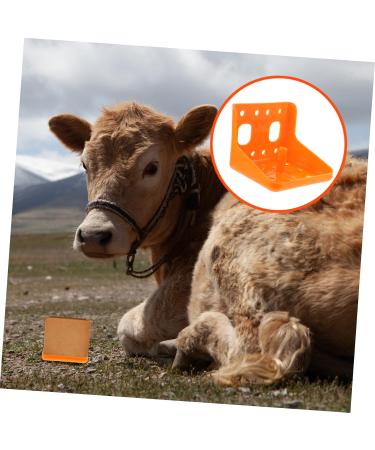 Balacoo Cattle Salt Block Feeder Cattle Sheep Food Bowl Livestock Feeding Bucket Farm Livestock Salt Block Feeding Box for Sheep Goat Pup Dog Farm Supplies Accessory Orange Livestock Feeder Bowl - Buy Online on GoSupps.com
