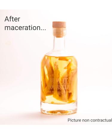 Mix for Flavoured Rum - Mango | Make Your Own Homemade Liquor Infusions Gift Set | Alcohol Infusion-Kit | Perfect Rum Gift for Men | DIY Infusion Set - Buy Online on GoSupps.com