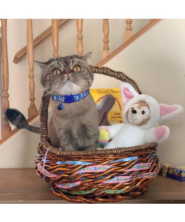 BoomBone Easter Cat Collar Set - Set of 2 Spring Kitten Collars with Bell - Buy Online on GoSupps.com