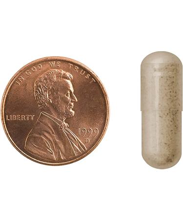 Buy Mason Natural Ginkgo Biloba 180 Capsules - Boost Memory & Focus - Buy Online on GoSupps.com