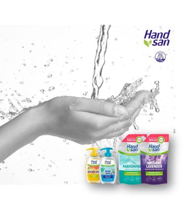 Hand San Liquid Soap - 300 ml | Nourishing Glycerin & Natural Grapefruit Extract | Odor-Eliminating Kitchen Soap | International Shipping Available - Buy Online on GoSupps.com