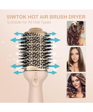 Siwtok One Step Hair Dryer Brush Professional Hot Air Brush 1200W (Pink) - 4 Piece Set [Negative Ions] - Buy Online on GoSupps.com