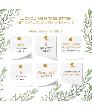Buy Luondu MSM 2000mg with Vitamin C - 365 Vegan Tablets High Dose Sulfur No Additives - Boost Wellness Internationally - Buy Online on GoSupps.com