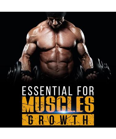 Science of Alpha - Alpha Fuel XT Testosterone Booster for Men - Natural Stamina and Strength Gainers - Muscle Growth Workout Supplement - 60 Veggie Capsules - Buy Online on GoSupps.com