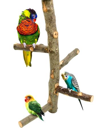 Suruikei Bird Perch Stand Toy for Small Parakeets, Cockatiels, Conures - Natural Apple Hard Wood Platform with Paw Grinding Stick - Cage Accessories for Love Birds, Finches - Set 1 - Buy Online on GoSupps.com