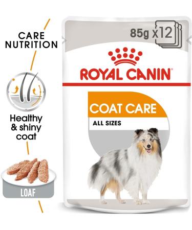 Royal Canin Coat Care Loaf | 12 x 85 g | Complete Food for Adult Dogs of All Breeds | May Help Support Healthy Skin and Coat - Buy Online on GoSupps.com