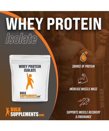 Whey Protein Isolate 90% Powder - Unflavored ISO Protein Supplement - 500g (1.1 lbs) - BulkSupplements - Buy Online on GoSupps.com