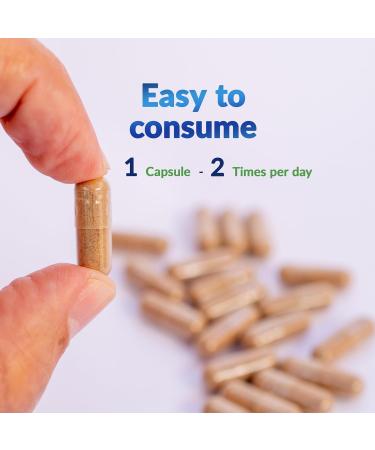 LEAFSOURCE Shilajit with Humic & Fulvic Acid (120 Capsules) with Trace Minerals, Electrolytes, Vitamins, Supports Energy, Gut & Joint Health, Absorb Nutrients 120 Count (Pack of 1) - Buy Online on GoSupps.com