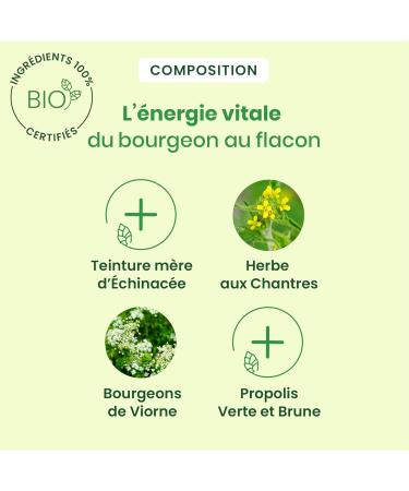 HERBALGEM - Soothing Syrup - Throat - Airway Comfort - Enriched With Buds - Traditional Recipe - Certified Organic - 250 ml - Buy Online on GoSupps.com