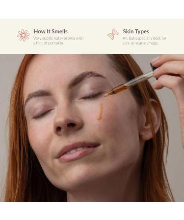 Bambu Earth Organic Cold-Pressed Vitamin C Facial Serum - Rosehip Oil for Even Skin Tone & Hyperpigmentation Repair (1 oz - Buy Online on GoSupps.com