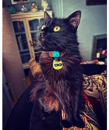 Kittyrama Reflective Cat Pendant | Waterproof & Secure | Fits All Reflective Collars | Shop Yellow Ninja Style - Buy Online on GoSupps.com