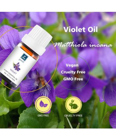 Buy Premium Violet Essential Oil - Aromatherapy & Diffuser Blend - 10ml | Exquisite Home Fragrance - Buy Online on GoSupps.com