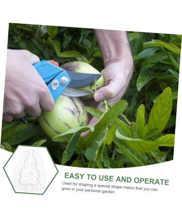 GANAZONO 9 Pcs Vegetable Mold Fruit Shaper Planting Vegetable DIY Cucumber Watermelon 9x8cmx3pcs Transparentx3pcs - Buy Online on GoSupps.com