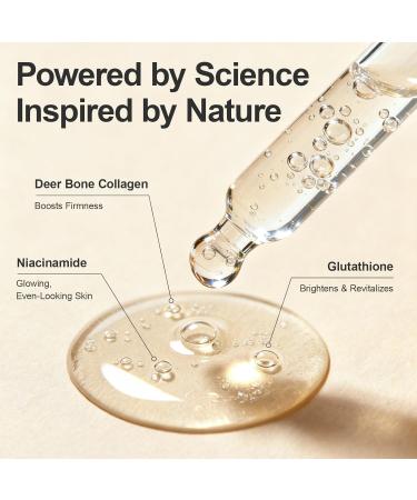 Anti-Aging Collagen Face Serum with Niacinamide & Glutathione Firming Deep Hydrating & Brightening Serum with Hyaluronic Acid for Improving Appearance of Fine Lines Wrinkles & Skin Elasticity - Buy Online on GoSupps.com