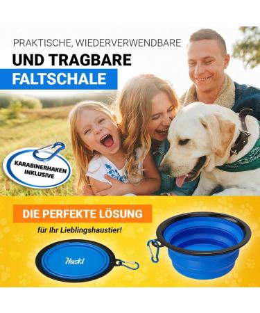 Premium Foldable Silicone Dog Bowl 380ml - FDA Approved | Huskl Portable Pet Bowl for Dogs & Cats - Ideal for Travel Feeding & Water - Buy Online on GoSupps.com