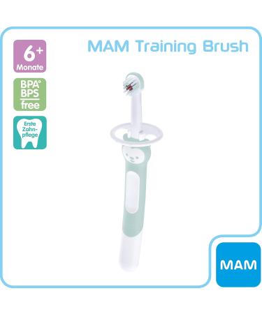 MAM Training Brush | Baby Toothbrush for Gentle Cleaning | Turquoise Long Handle | Ideal for 5+ Months - Buy Online on GoSupps.com