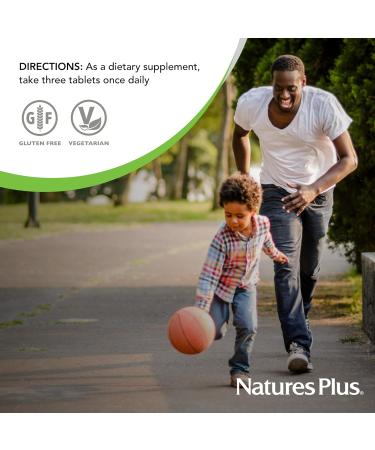 NaturesPlus Source of Life - 90 Tablets Pack of 2 - Multivitamin & Mineral Supplement with Concentrated Whole Foods - Gluten Free Vegetarian - 60 Total Servings 90 Count (Pack of 2) - Buy Online on GoSupps.com