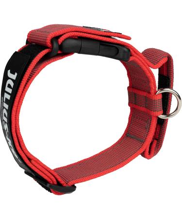 Shop Julius-K9 100HA-K-R-2015 Adjustable K9 Neck Band - Red-Gray with Handle Safety Closure 38-53 cm - International Shipping - Buy Online on GoSupps.com