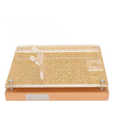 Massage device-based standing stand massage device-based standing stand stable hold organized storage large capacity massage device exhibition center base