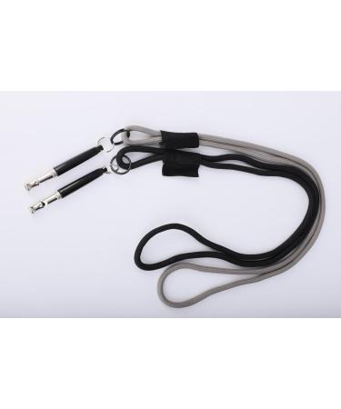 SOARIFY Dog Whistles for Recall Dog Whistle with Lanyard for Dog Training Equipment Dog Whistle to Stop Barking Silent Dog Training Whistle Good Frequency for Long Distance (2Pcs Steel Whistles) - Buy Online on GoSupps.com