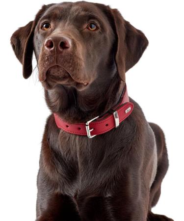 HUNTER BASIC Dog Collar - Coated Split Leather Weather-Resistant Robust & Simple Design - Size 50 (SM) Red | International Shipping Available - Buy Online on GoSupps.com