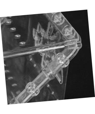 SUPVOX 2pcs Square Apple Molds Mushroom Plastic Fruit Square Shaping Square Model - Buy Online on GoSupps.com