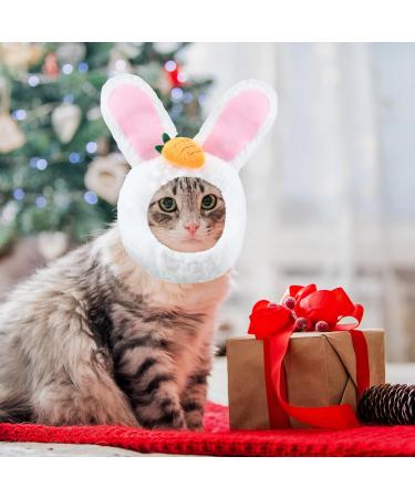 Fun Cat Hat & Cute Rabbit Ears Costume for Cats and Small Dogs Perfect Party Accessories for Kittens & Puppies - Buy Online on GoSupps.com
