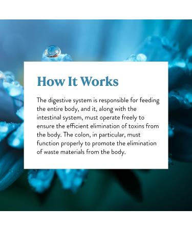 Nature's Sunshine Cellular Detox 100 Capsules Kosher - Natural Digestive System Supplement - Buy Online on GoSupps.com