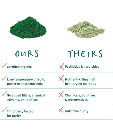 Pure Synergy Blue-Green Algae Powder - 3.2 oz | USDA Organic, Non-GMO, Vegan - Sourced from Upper Klamath Lake Oregon - Buy Online on GoSupps.com