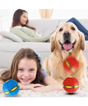 Buy Interactive Dog Toys - Frisbee Ball & Flying Saucer Ball for Training & Play | International Shipping Available - Buy Online on GoSupps.com