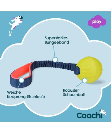 Shop Coachi Tuggi Toys - Durable Tuggi Ball for Dogs | Company of Animals - International Shipping Available - Buy Online on GoSupps.com