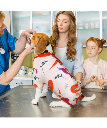 Hjyokuso Recovery Suit for Dogs & Cats | Post-Surgery Relaxation for Abdominal Wounds - XS Vegetable Design - Buy Online on GoSupps.com