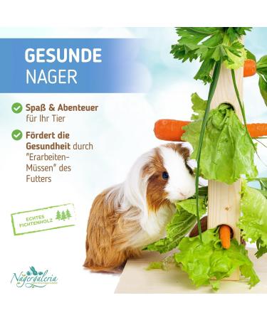 Nagergaleria Feeding Tree for Rabbits & Guinea Pigs | Outdoor Wooden Base & Ground Spike | International Shipping - Buy Online on GoSupps.com