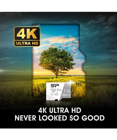 Silicon Power 512GB Superior Micro SDXC UHS-I (U3)  V30 4K A2  Compatible with GoPro Hero 9 High Speed MicroSD Card with Adapter A2 512GB - Buy Online on GoSupps.com