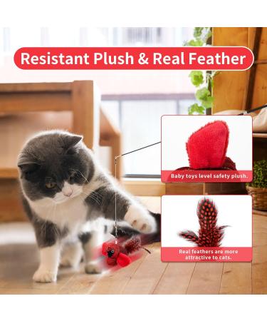 Tohdnc Interactive Cat Bird Toy with Stick - Realistic Flying Birds & Springs for Indoor Kittens - Buy Online on GoSupps.com