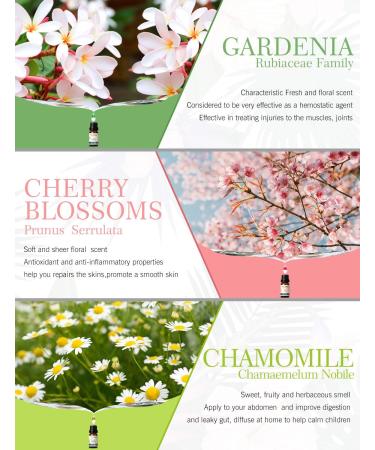 100% Organic Salking Essential Oils Set - Aromatherapy Gift Set for Diffusers & Massage | 6 x 10ml Fragrance Oils (Lavender Rose Cherry Blossom Ylang Ylang Gardenia Chamomile) - Buy Online on GoSupps.com