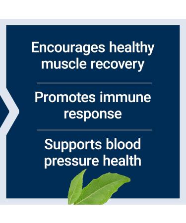 Life Extension Arginine Ornithine Powder Promotes Muscle Health & Recovery Gluten Free Non-GMO net Weight 150 Grams - Buy Online on GoSupps.com