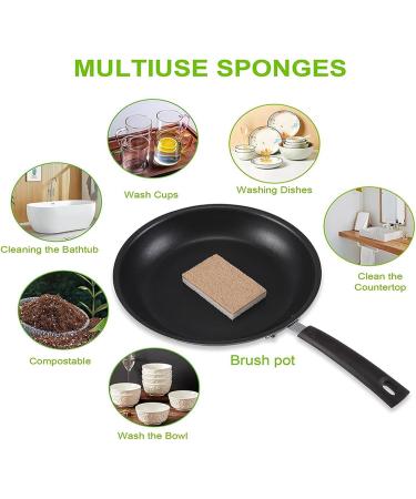 ALGONETO 32PCS Biodegradable Compostable Cellulose Kitchen Sponges Coconut Scrubber - Eco Friendly Sponge for Dishes Cleaning - Buy Online on GoSupps.com