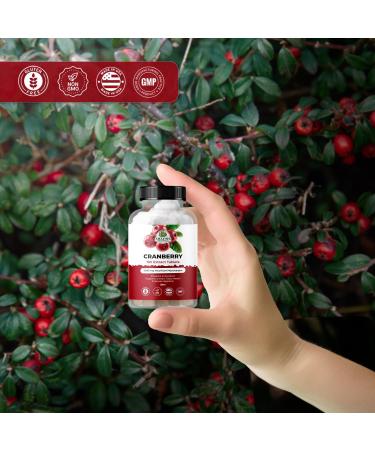 Amazing Botanicals Cranberry 10X Extract Tablets 2 000 mg 30ct - UTI Support Supplements for Women & Men - Highly Extract Formula with Vitamin C Vitamin E & Powerful Antioxidant for Immune Support - Buy Online on GoSupps.com