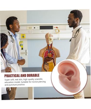 FOMIYES Silicone Human Ear Model for Piercing Teaching Display - Coffee 6.5x3.5cm - Buy Online on GoSupps.com