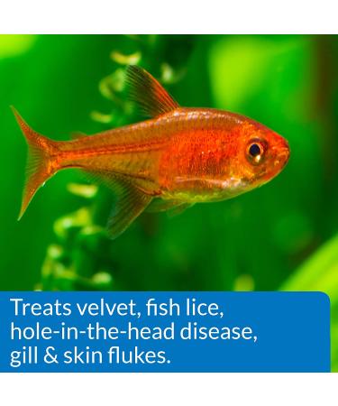 API General Cure 30-Ounce Bulk Box Fish Medication - For Freshwater and Saltwater Fish - Buy Online on GoSupps.com