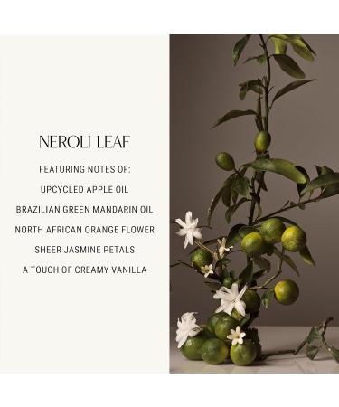 Homecourt Room Deodorant Neroli Leaf Natural Room Spray 3.4 oz - Fine Fragrance with Cedarwood and Leather Room Deodorant for Kitchen Bathroom and Beyond - Buy Online on GoSupps.com