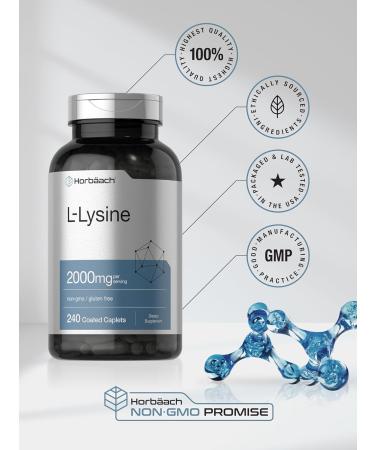 Horb ach L-Lysine 2000mg - 240 Caplets | Vegetarian Non-GMO & Gluten-Free Supplement for Immune Support - Buy Online on GoSupps.com