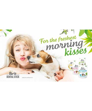 Brit Adult Food 251g - Buy Online on GoSupps.com