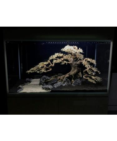Aquarium Wood Bonsai Tree Decoration Premium Pieces Aquascaping Root Iwagumi Tree L 30x25x20cm - Buy Online on GoSupps.com