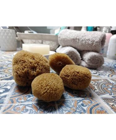 Menstrual Sponges - 4 Unbleached Eco-Friendly Pieces with Needle & Cotton Cord | Alternative to Pads & Tampons | Aristos - Buy Online on GoSupps.com